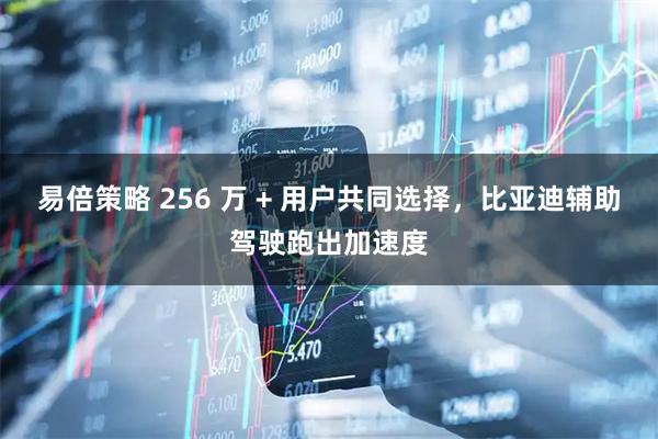 易倍策略 256 万 + 用户共同选择，比亚迪辅助驾驶跑出加速度