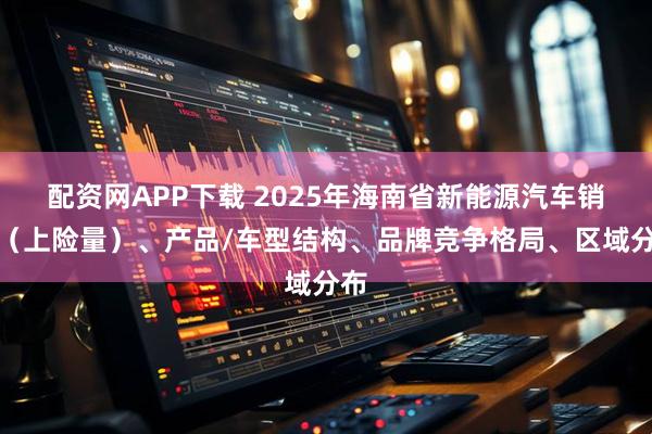 配资网APP下载 2025年海南省新能源汽车销量（上险量）、产品/车型结构、品牌竞争格局、区域分布