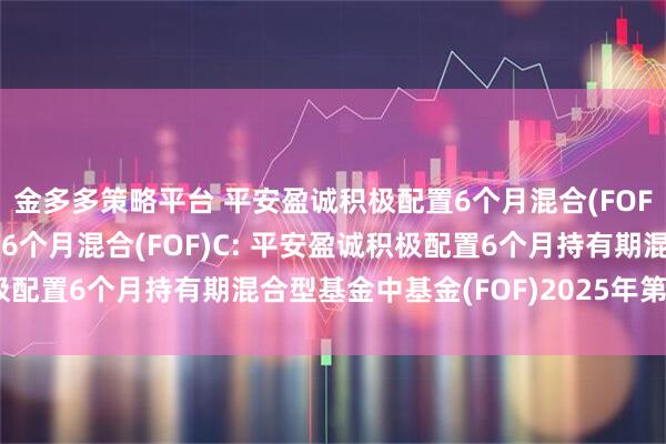 金多多策略平台 平安盈诚积极配置6个月混合(FOF)A,平安盈诚积极配置6个月混合(FOF)C: 平安盈诚积极配置6个月持有期混合型基金中基金(FOF)2025年第2季度报告