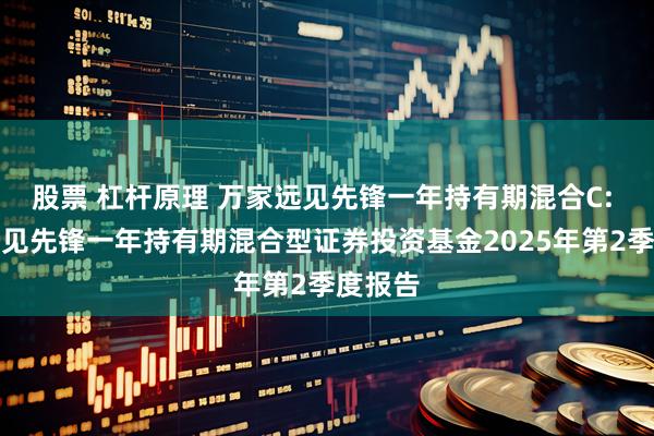 股票 杠杆原理 万家远见先锋一年持有期混合C: 万家远见先锋一年持有期混合型证券投资基金2025年第2季度报告