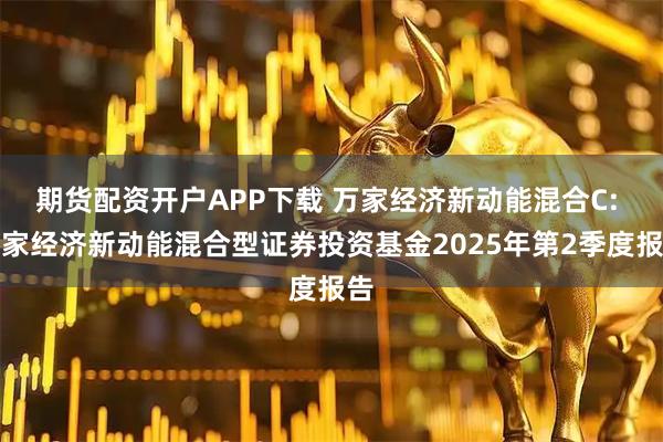 期货配资开户APP下载 万家经济新动能混合C: 万家经济新动能混合型证券投资基金2025年第2季度报告