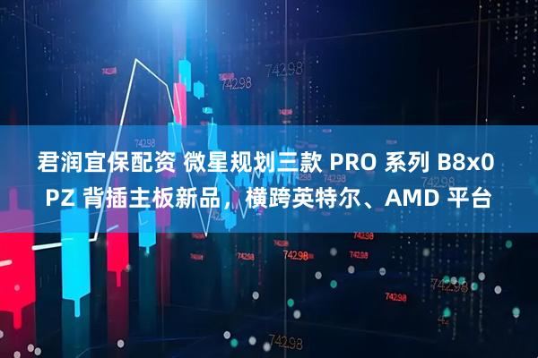 君润宜保配资 微星规划三款 PRO 系列 B8x0 PZ 背插主板新品，横跨英特尔、AMD 平台