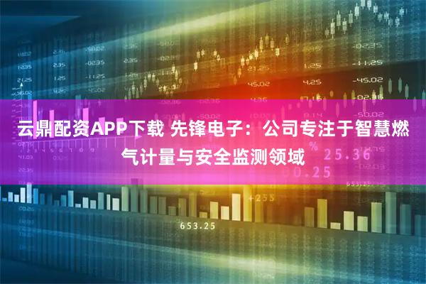云鼎配资APP下载 先锋电子：公司专注于智慧燃气计量与安全监测领域