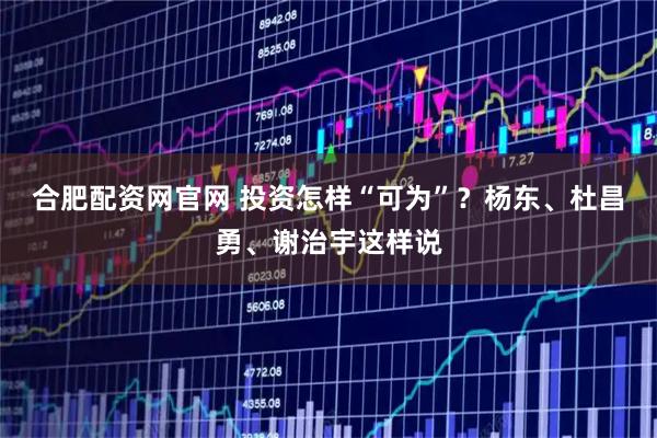 合肥配资网官网 投资怎样“可为”？杨东、杜昌勇、谢治宇这样说