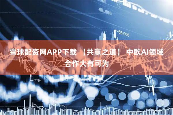 雪球配资网APP下载 【共赢之道】 中欧AI领域合作大有可为