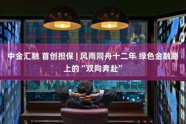 中金汇融 首创担保 | 风雨同舟十二年 绿色金融路上的“双向奔赴”